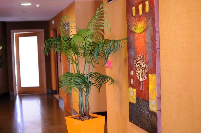 Hotel Fly Casoria Esterno foto